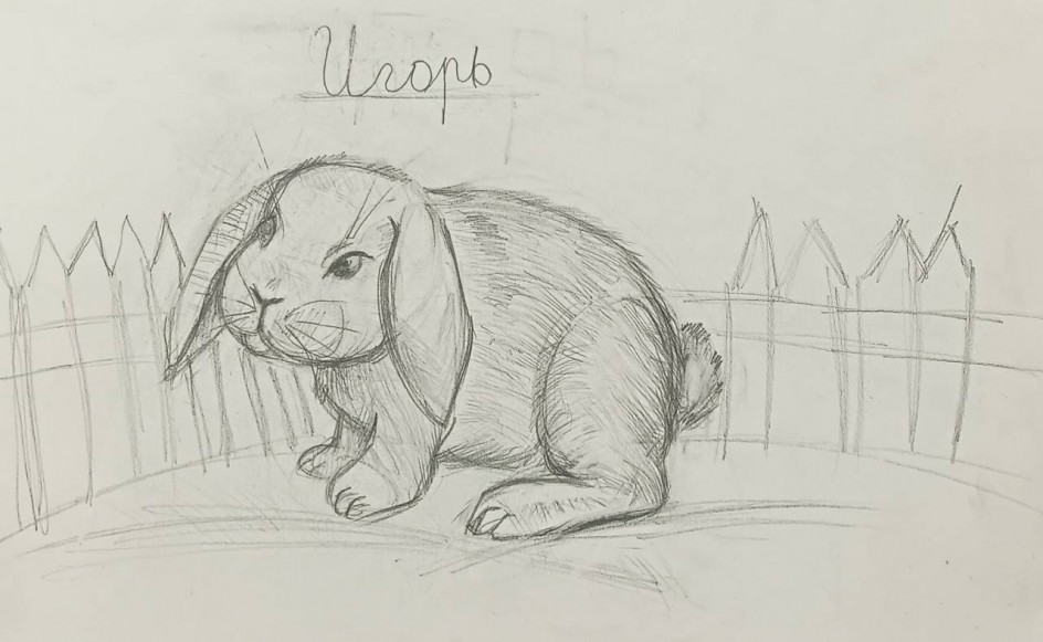 Кролик "Игорь"