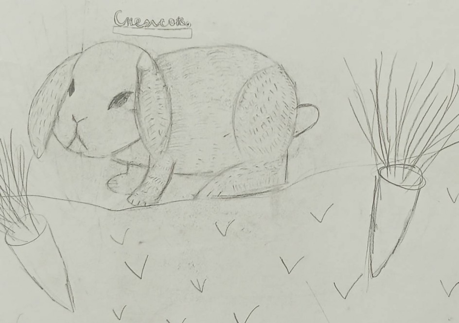 Мой любимец