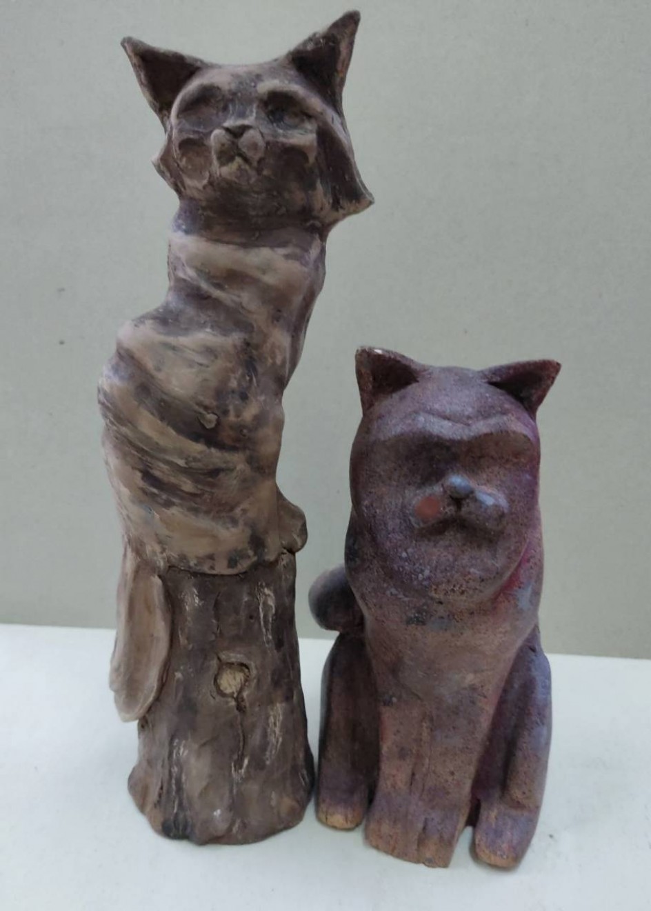 "Коты такие разные"