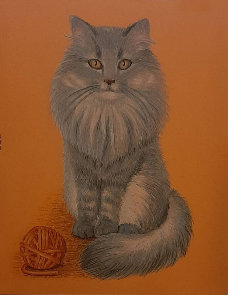 Портрет питомца