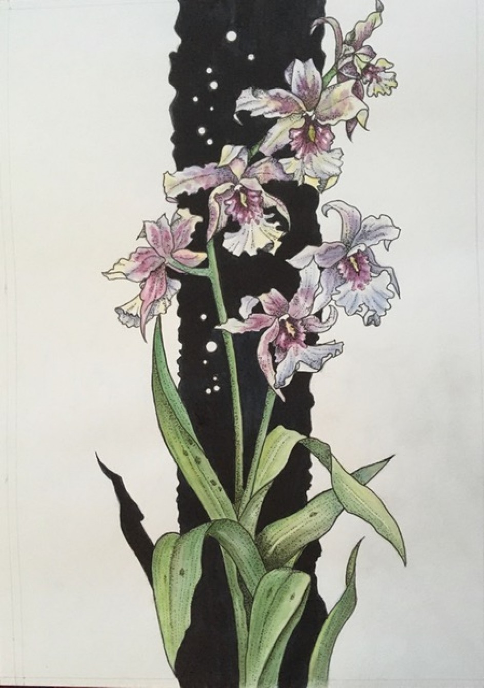 "Акварели природы"