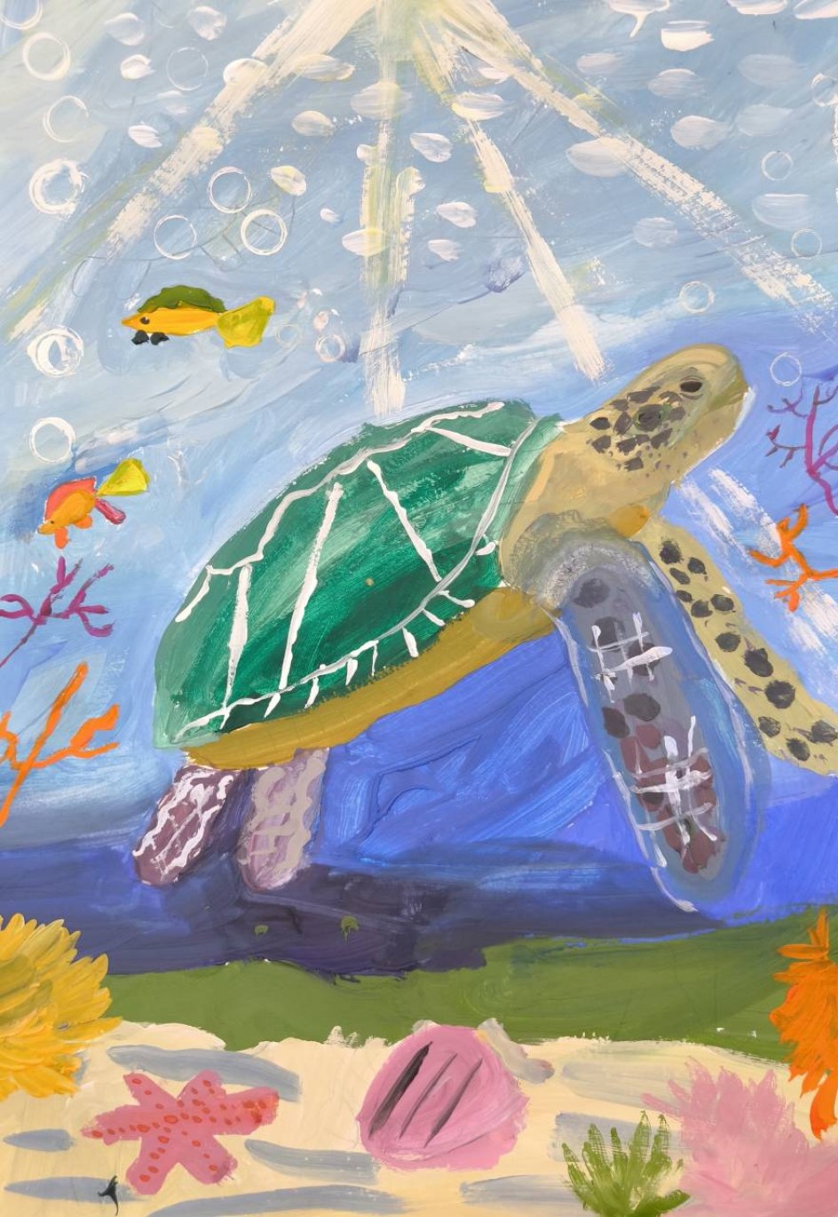 «В синем море живёт черепах»