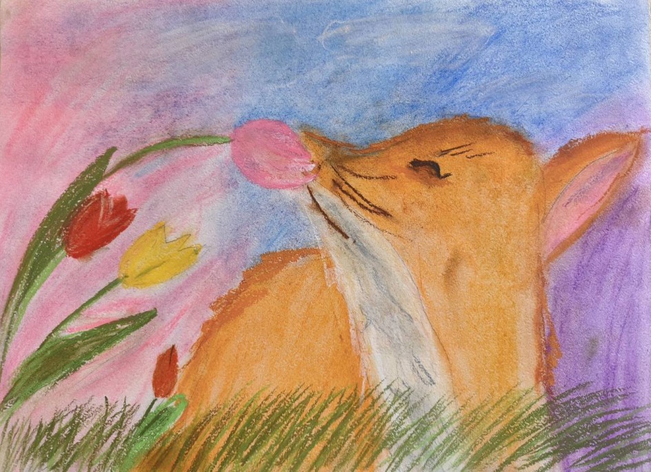 «Встреча лиса с тюльпанами»
