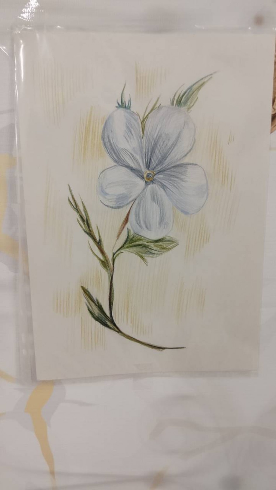 "Нежный цветок для мамы"