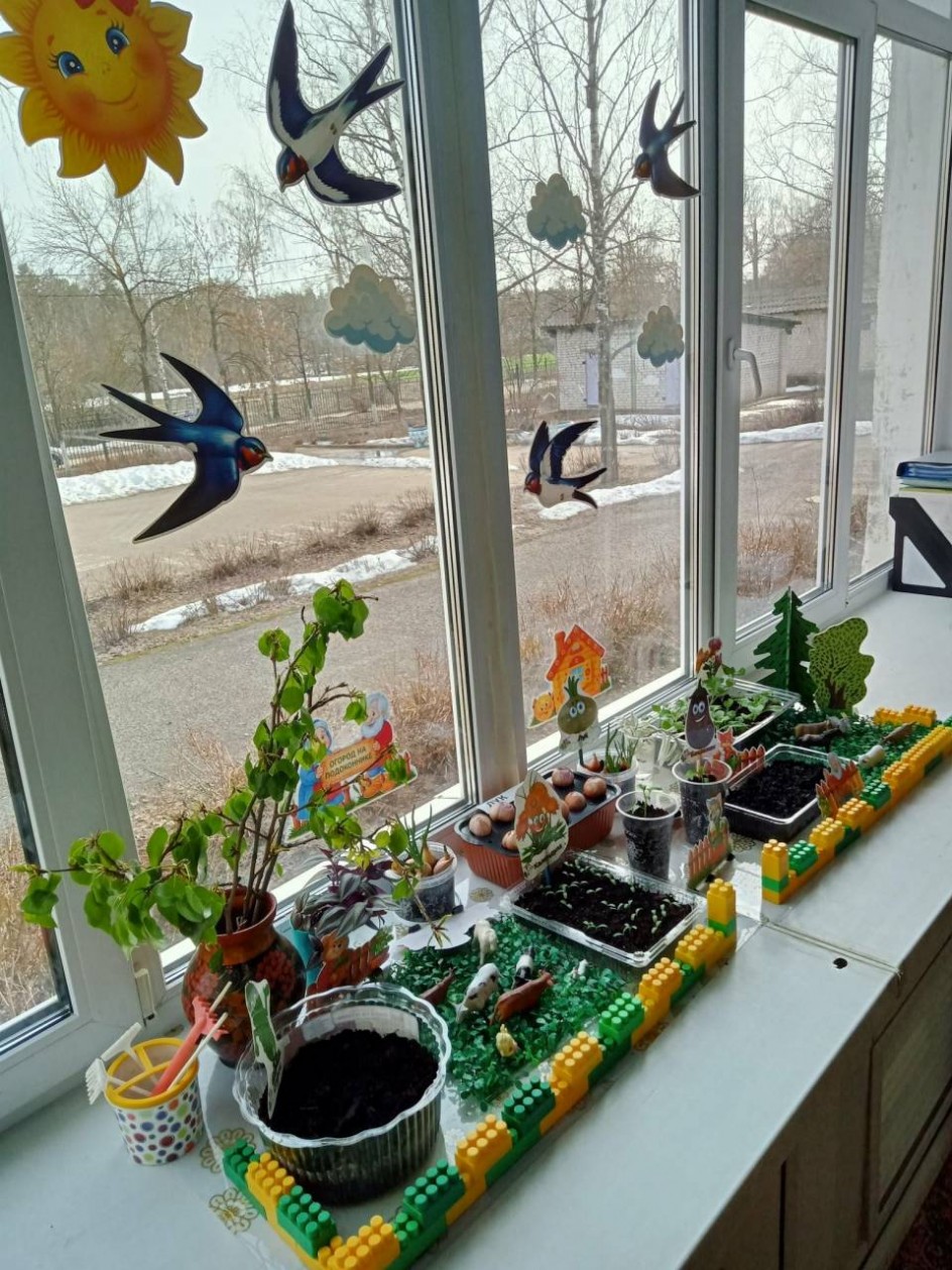 "Огород на окне"