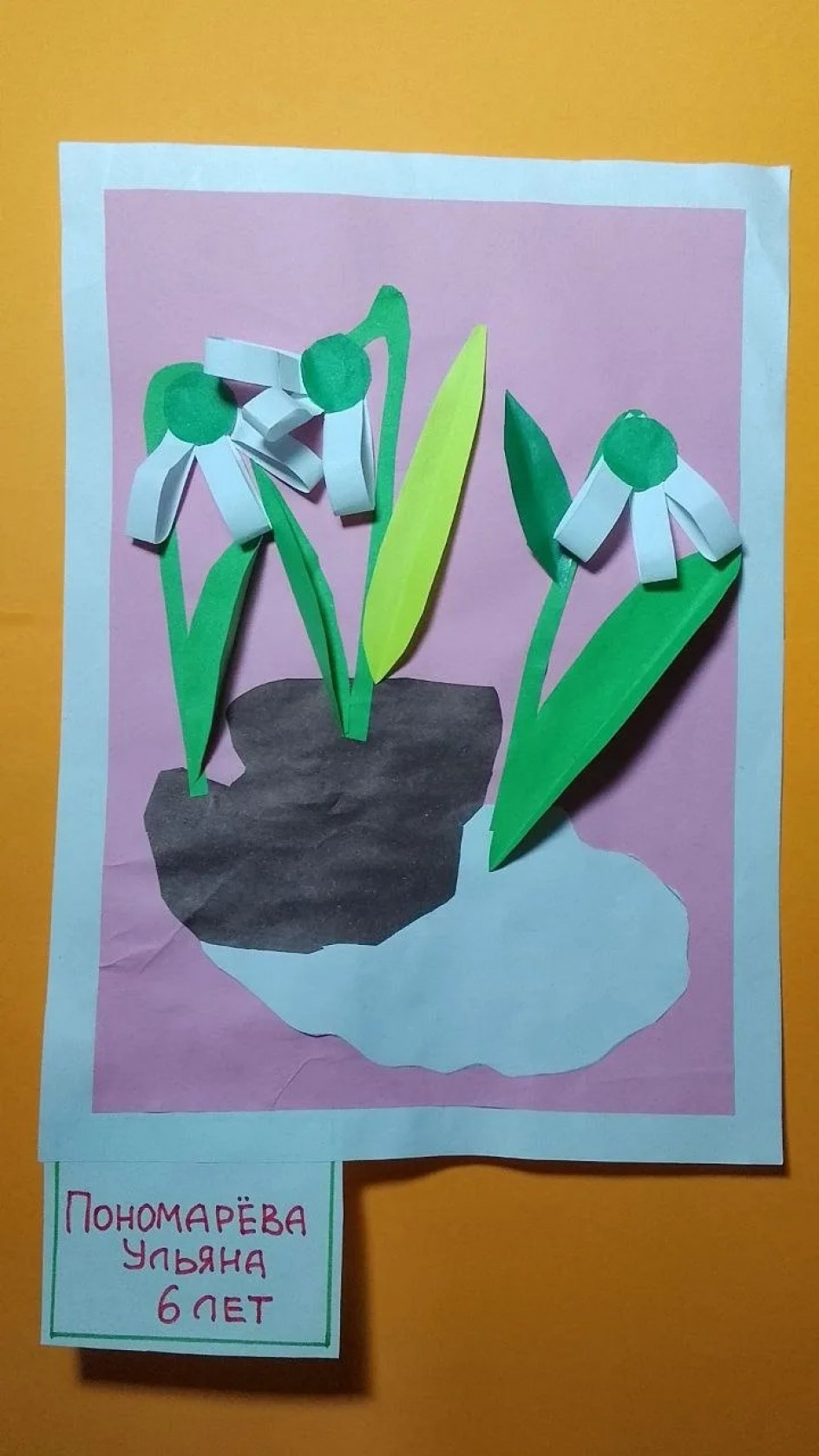 Первые подснежники