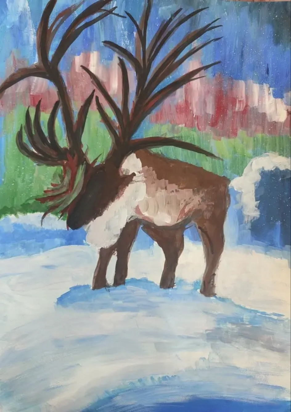 «Волшебство Севера»