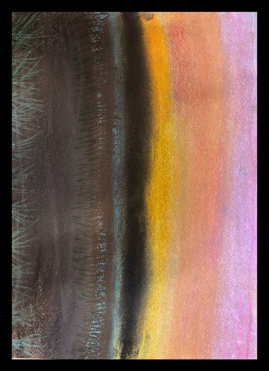 Заокские поля на закате