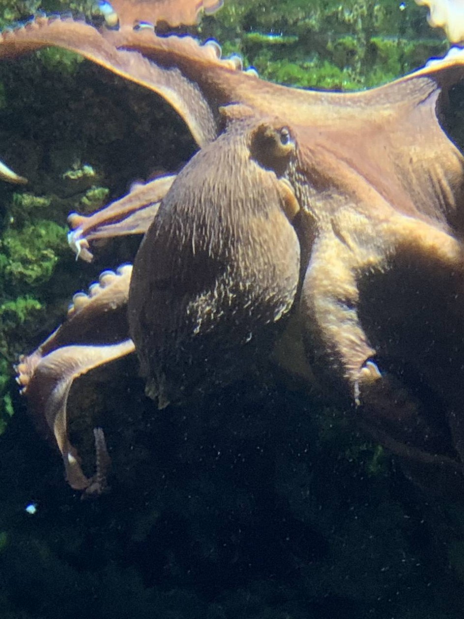 МБОУ СОШ № 5 города Югорска