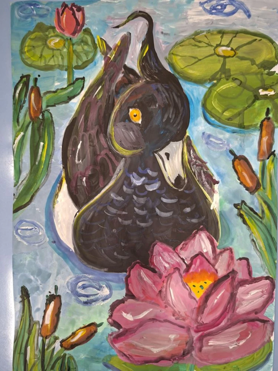 Хохлатая чернеть