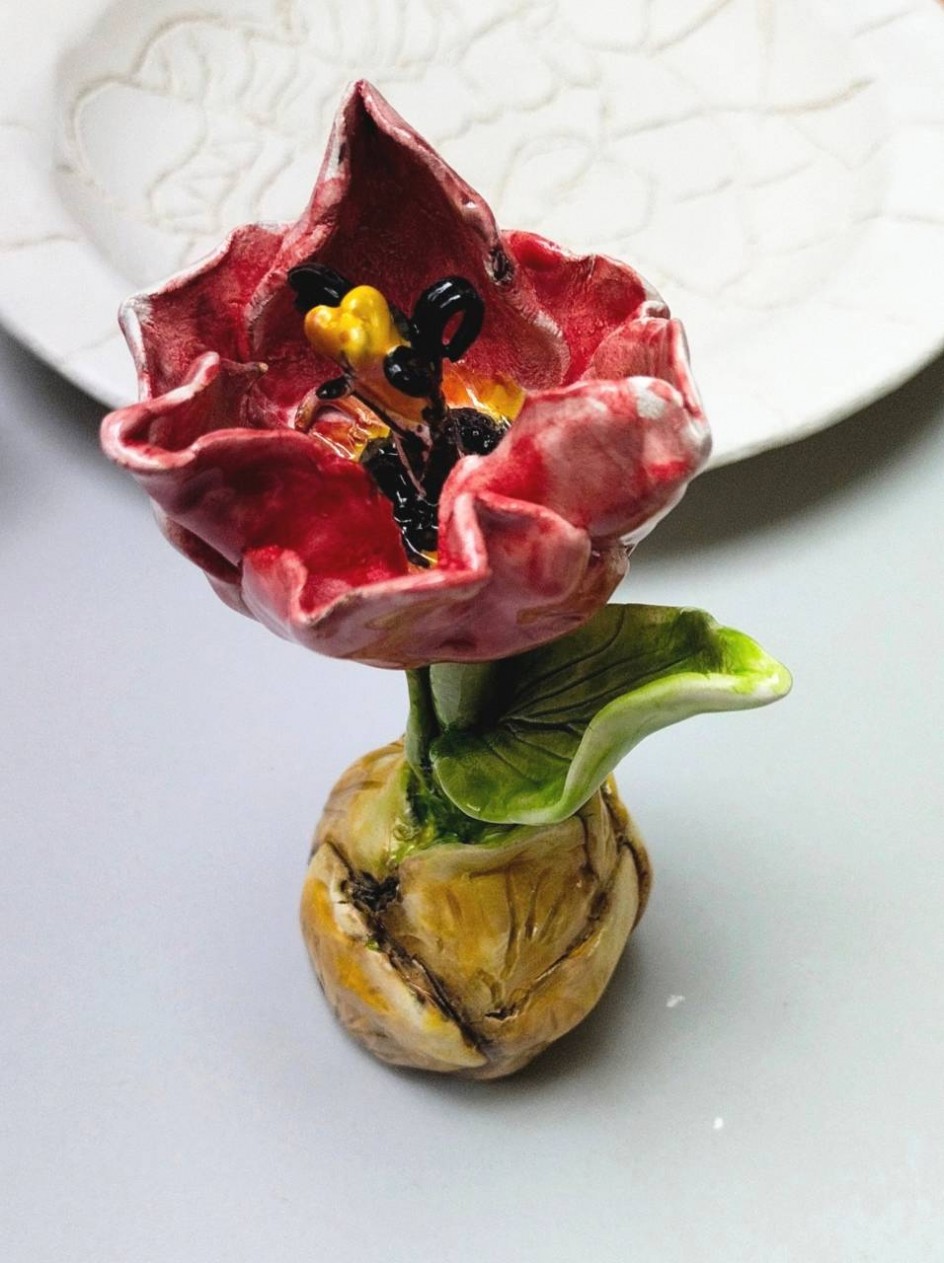 Весенний тюдльпан