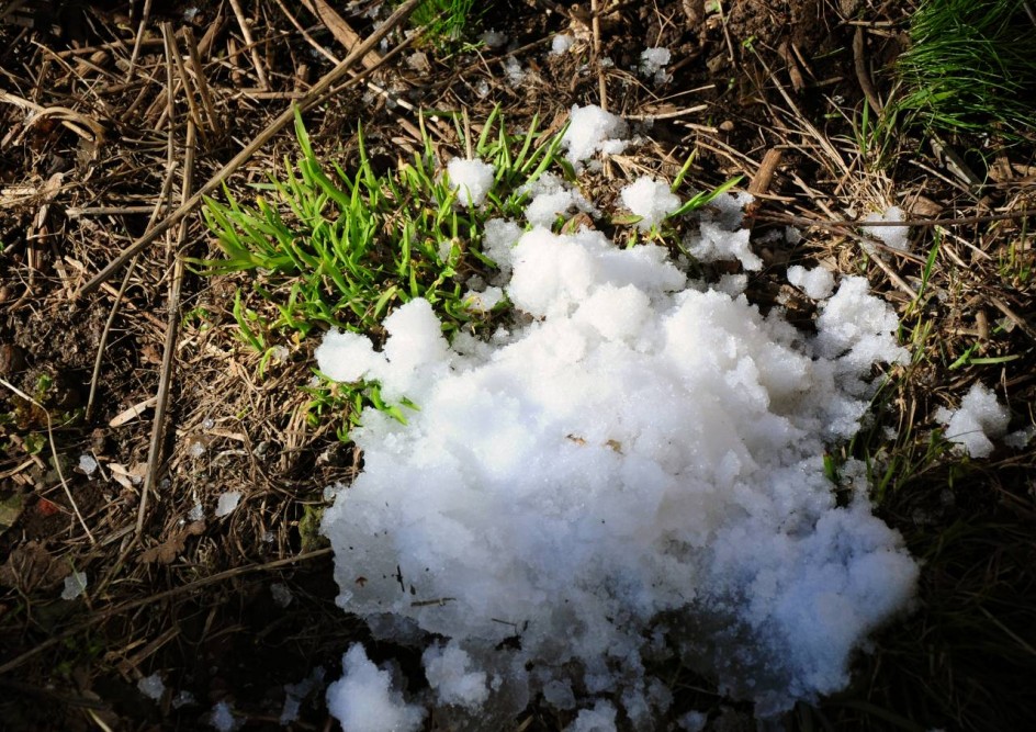 Весенний этюд