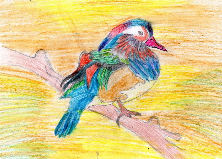 Яркая певунья