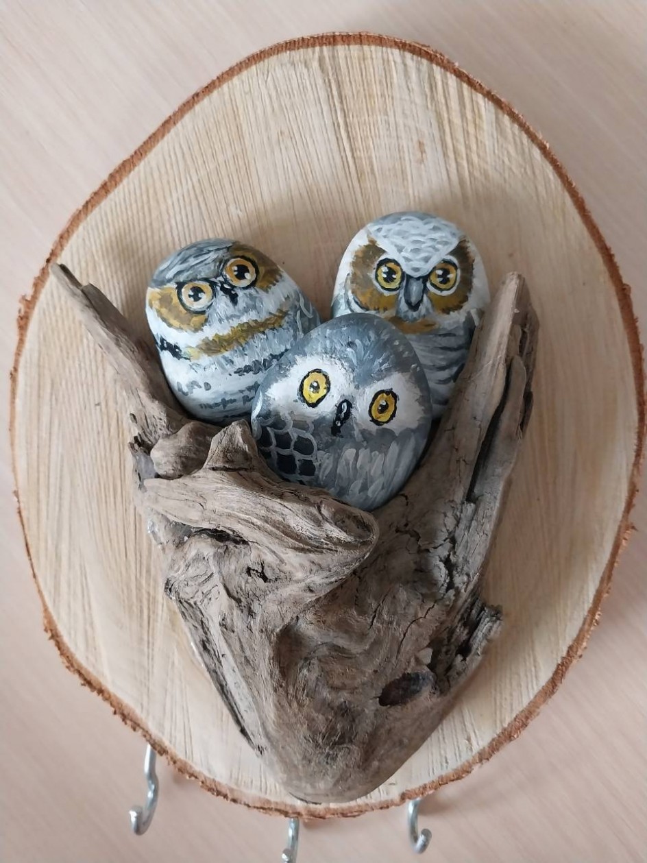 "Совиная семья"