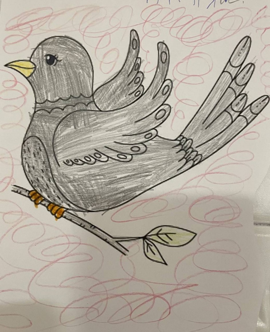 Голубь сизокрылый