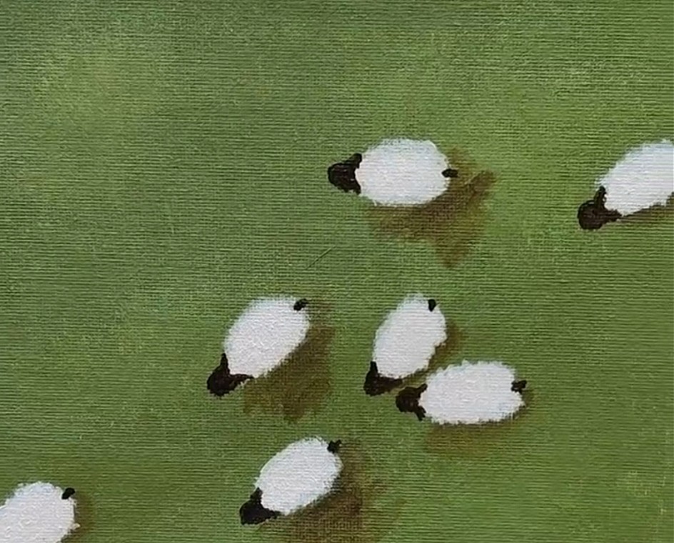 Барашки в поле