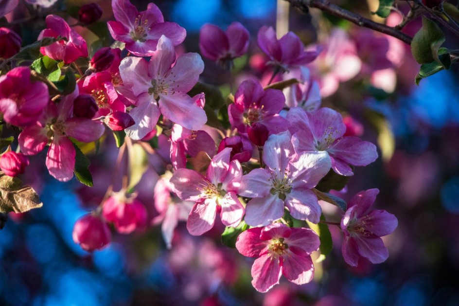 Пробуждение весны!
