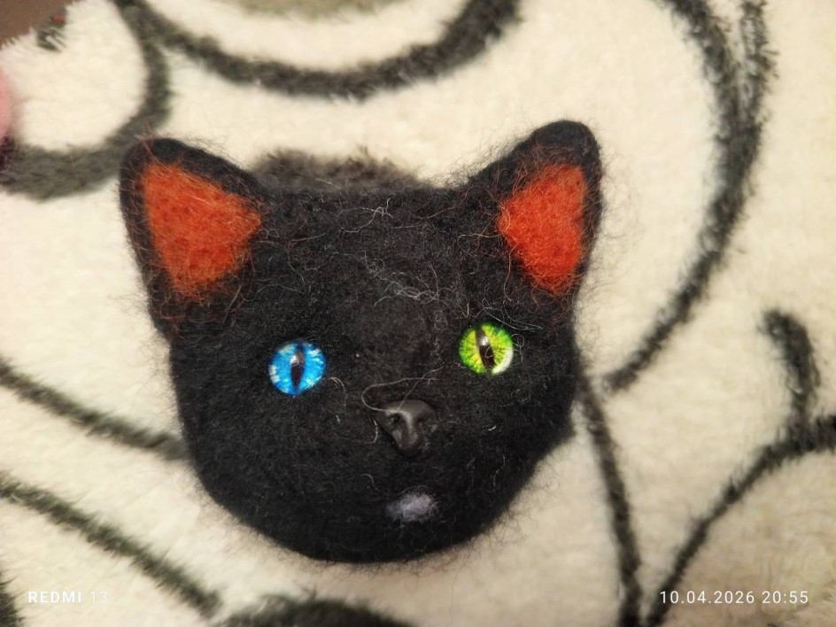 Любимая кошка "Буся"