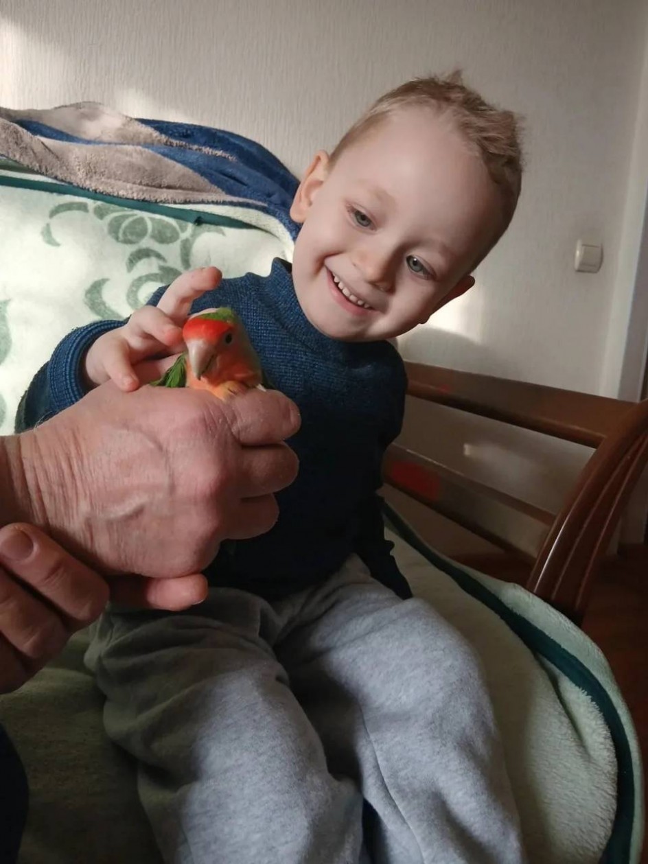 Мой любимый пернатый друг.