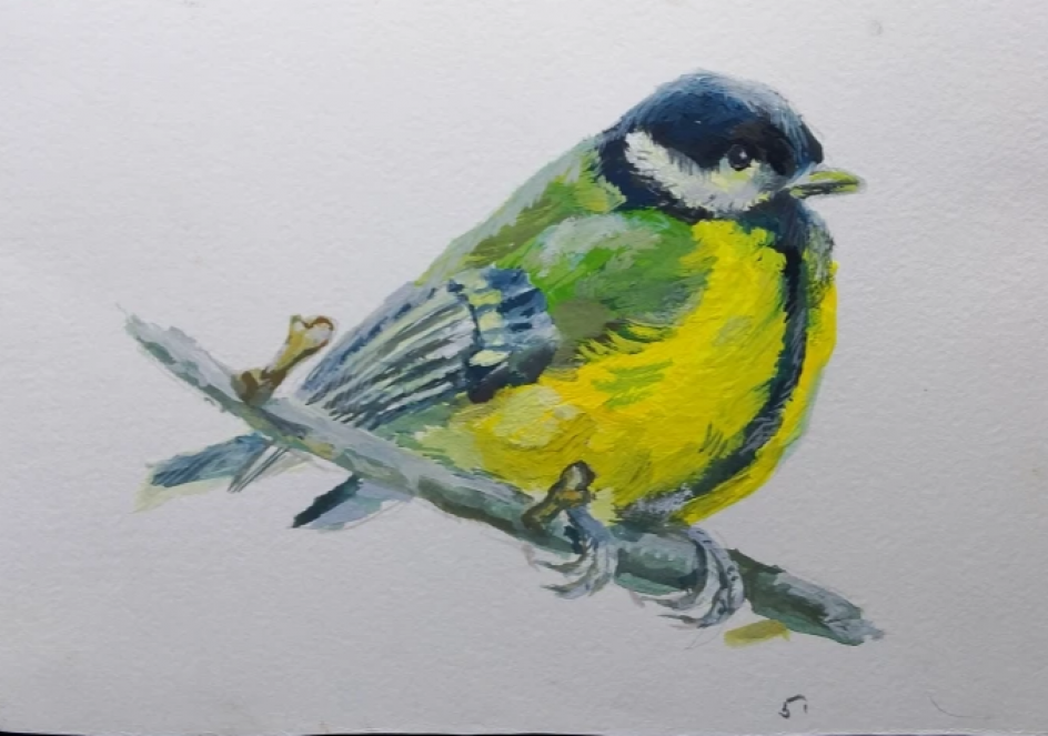 Синица на ветке