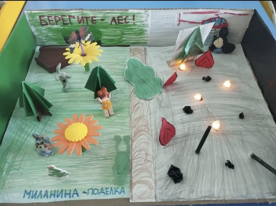 "Лесные пожары: беда для природы"