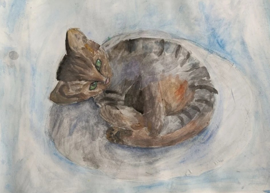 Небесный котик