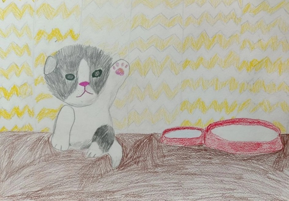 Милый котик