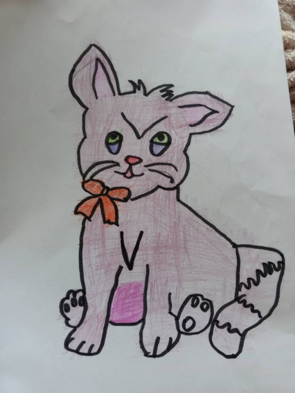 "Розовый котик"