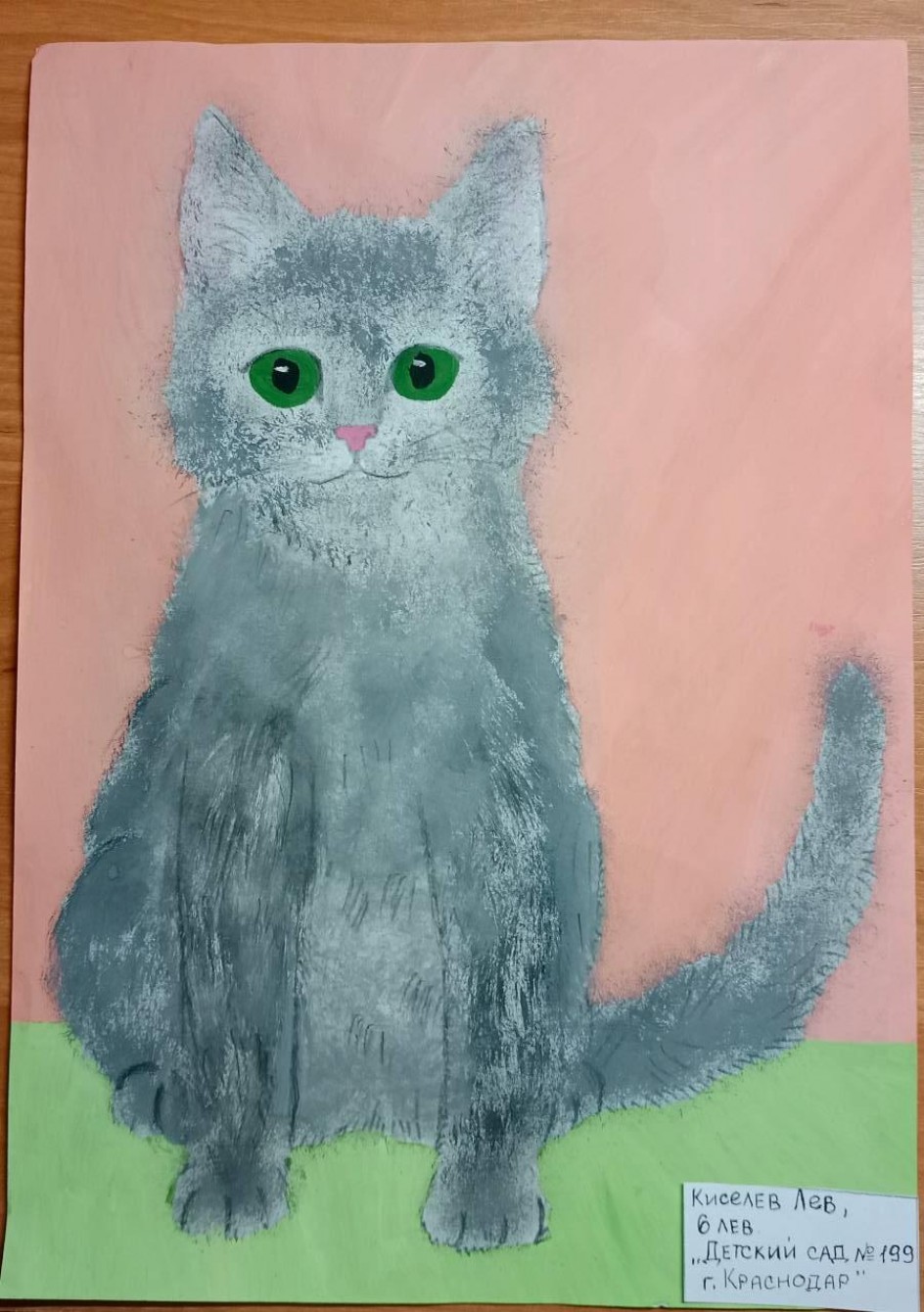 Любимый котик