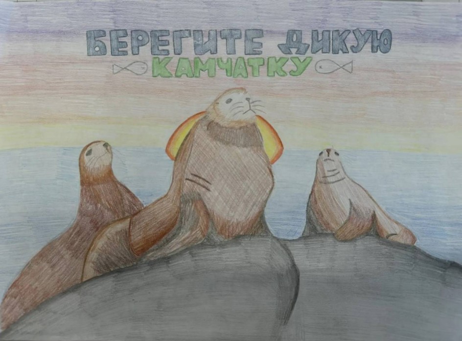 Дикая природа Камчатки