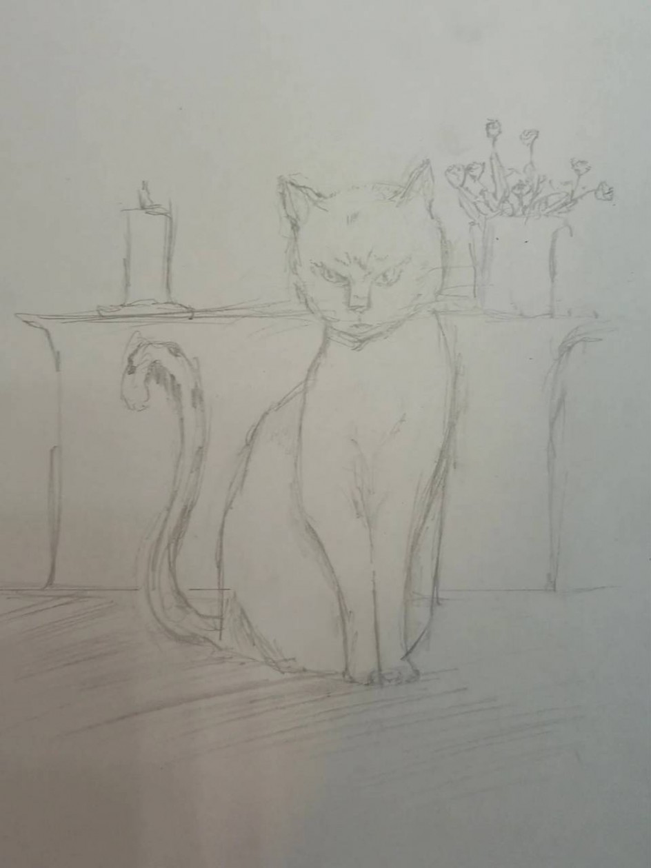 Мой кот Васька