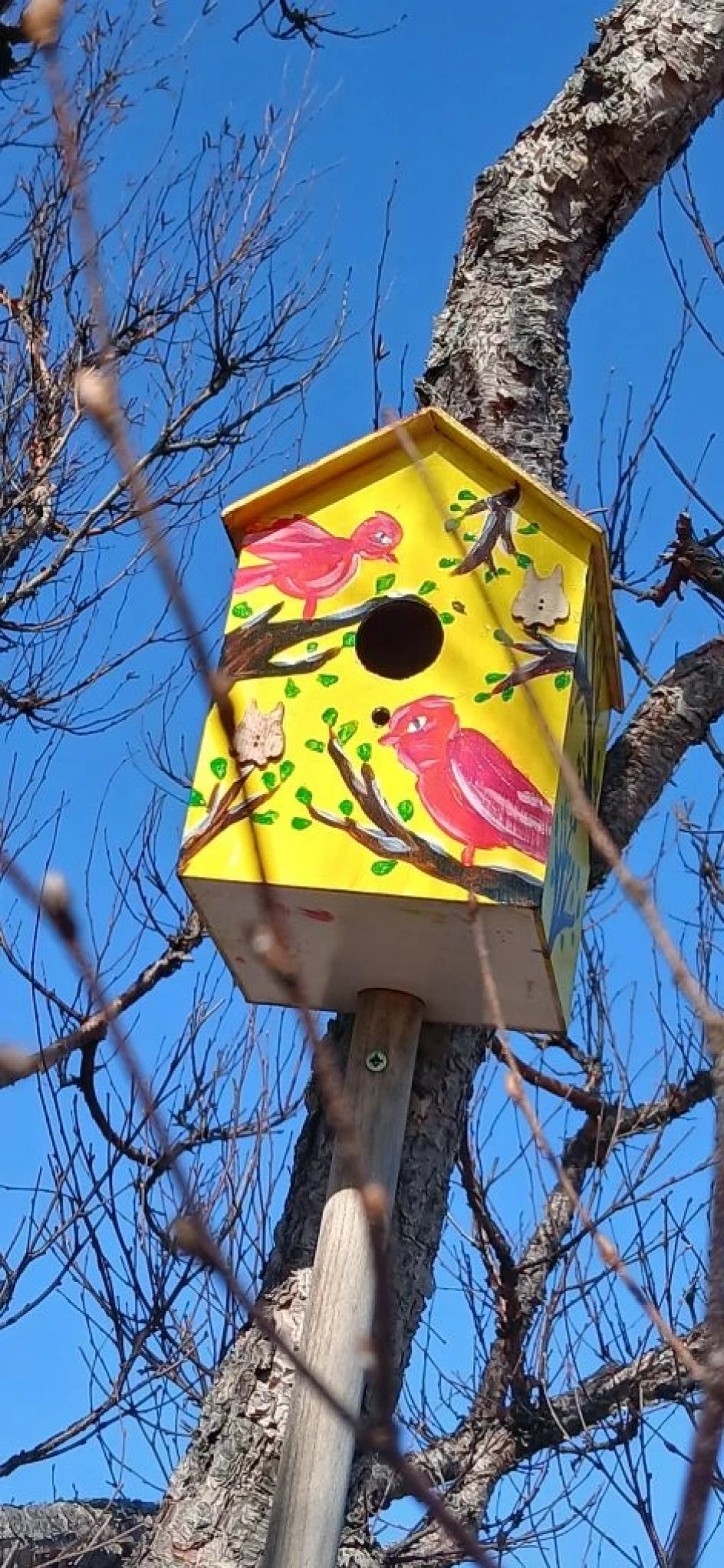 "Весёлый скворечник"