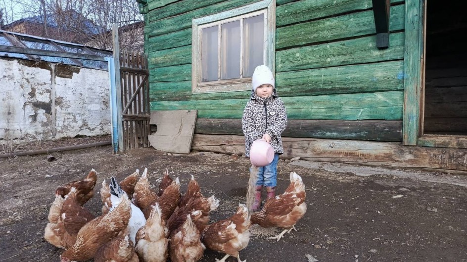 Курочки- рябушки