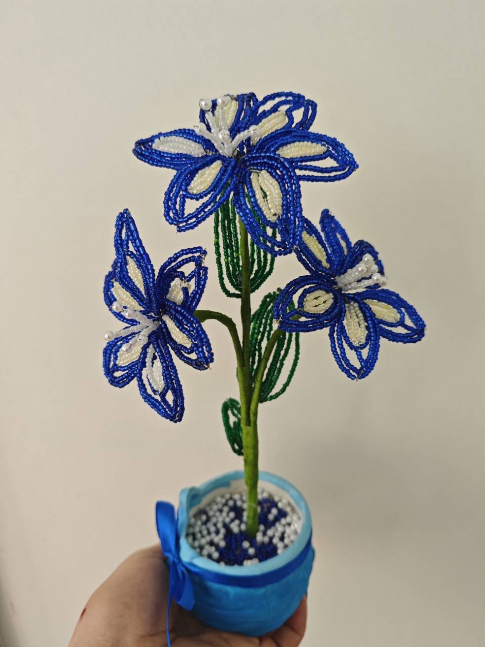 Цветок в горшке