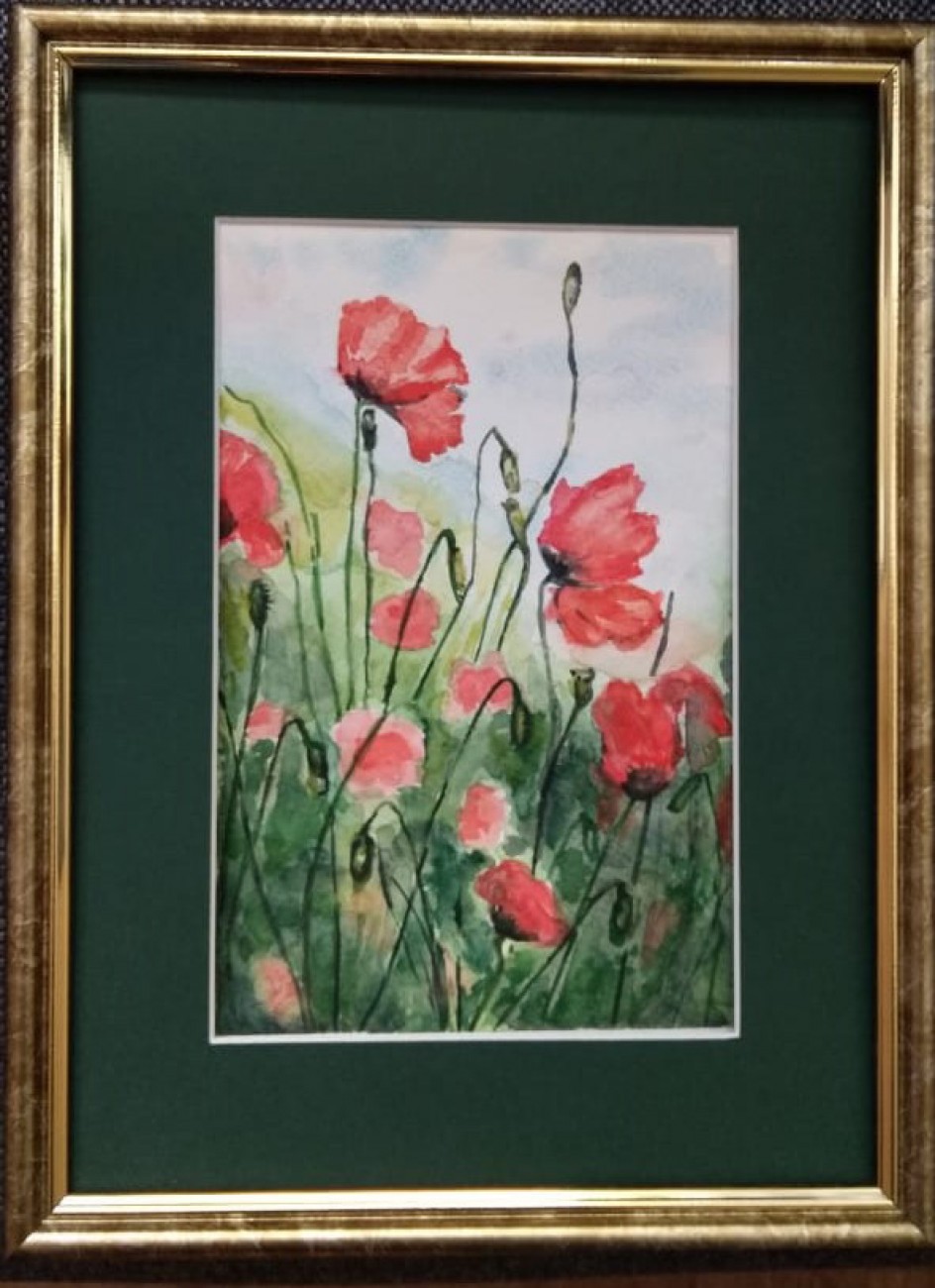 Красные маки