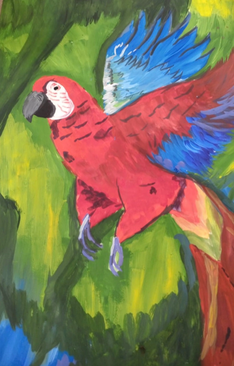 «Тропический калейдоскоп»