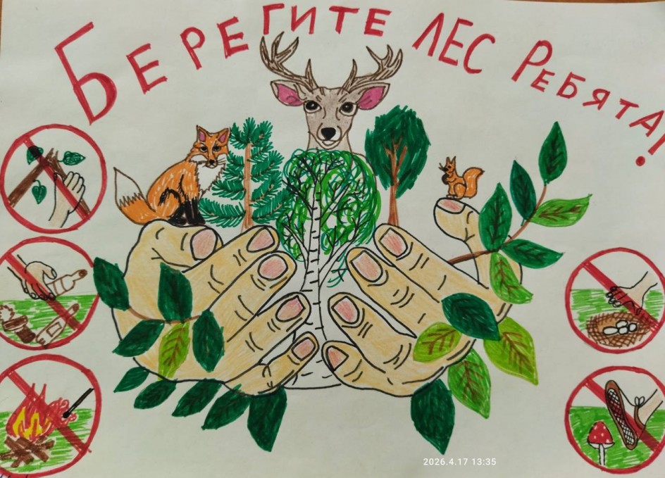 Берегите лес - ребята!