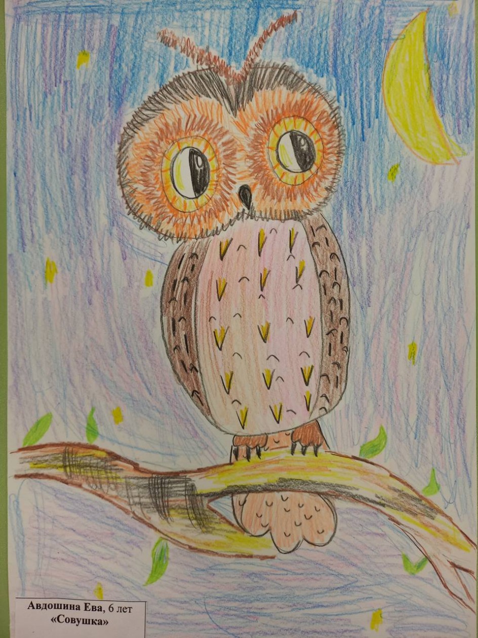 "Совушка"