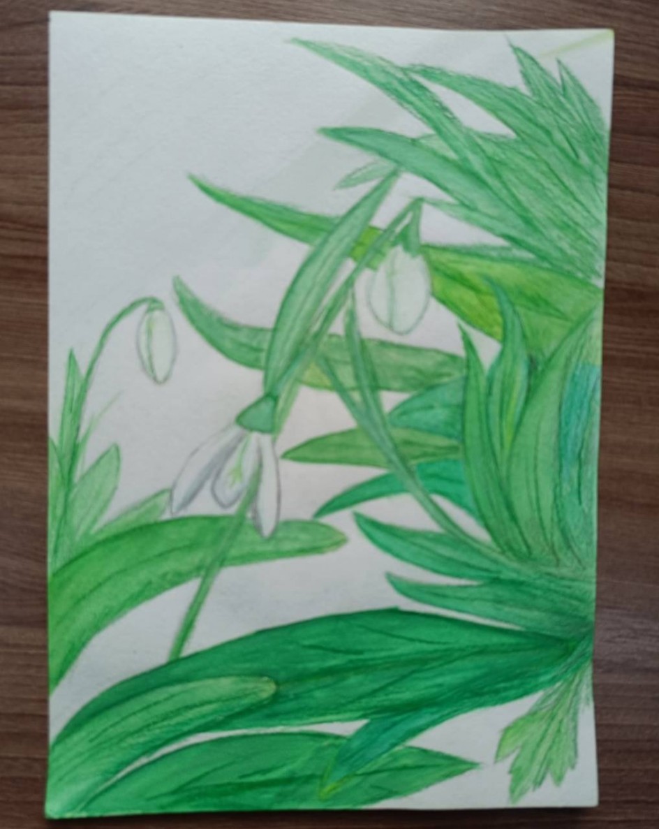 Дыхание весны