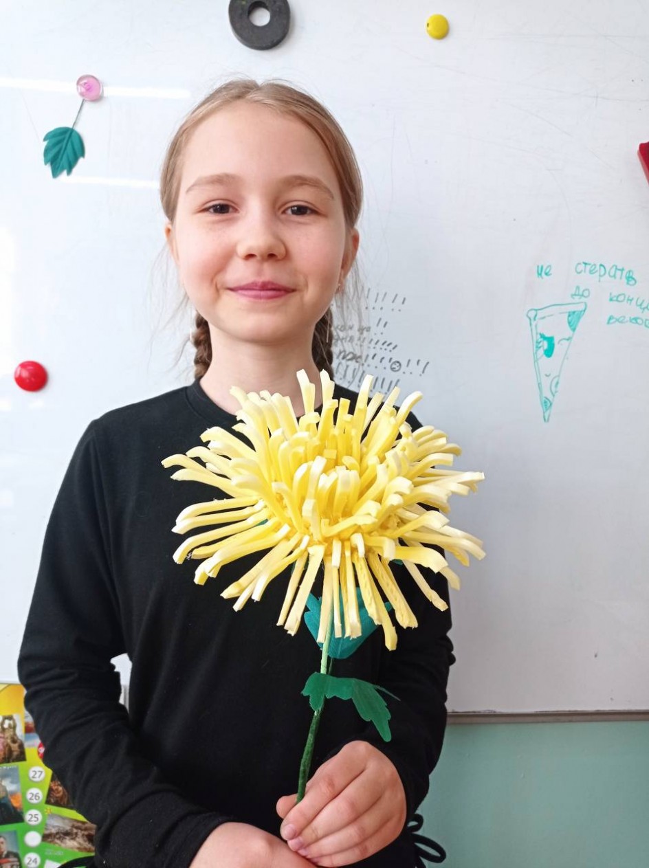 Хризантема