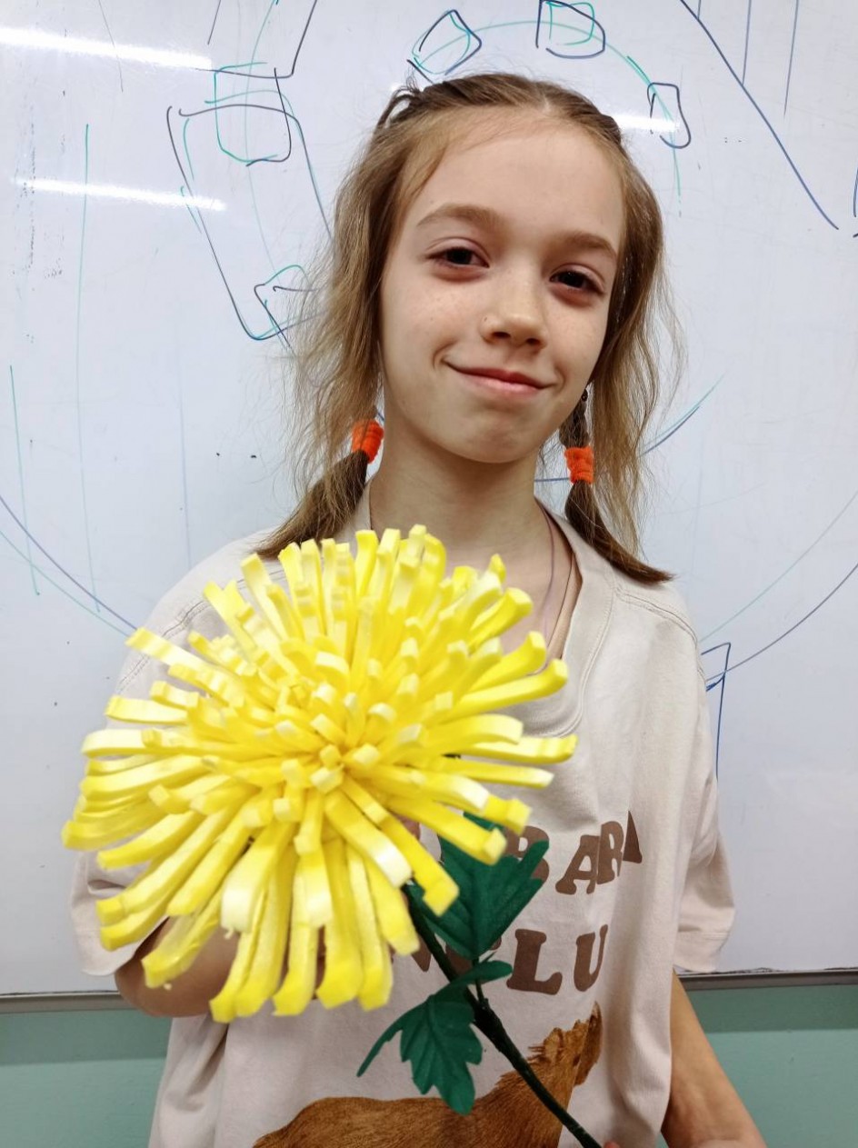 Хризантема