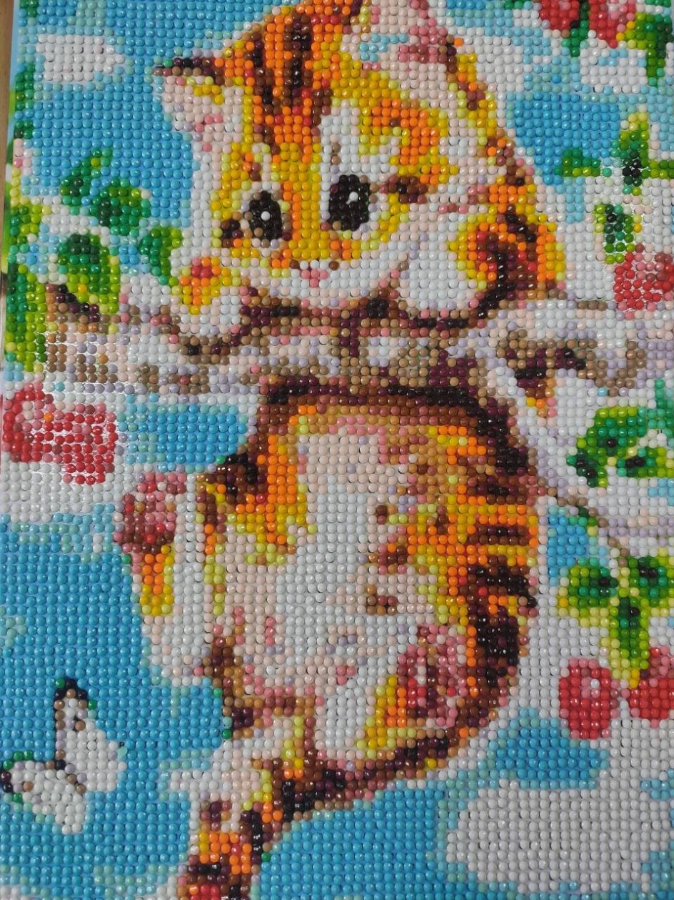 "Котик Веснушка"