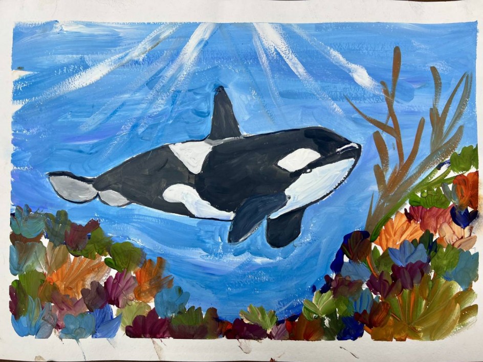 Косатка в море