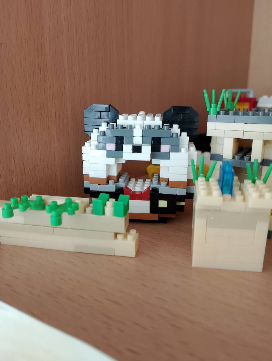 Весёлая панда