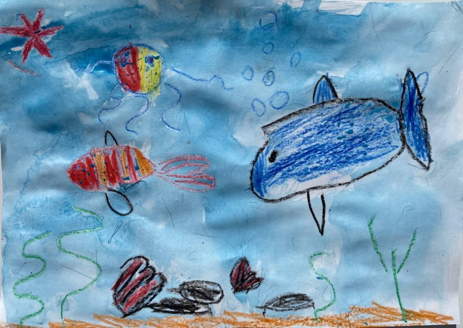 В гости к рыбкам