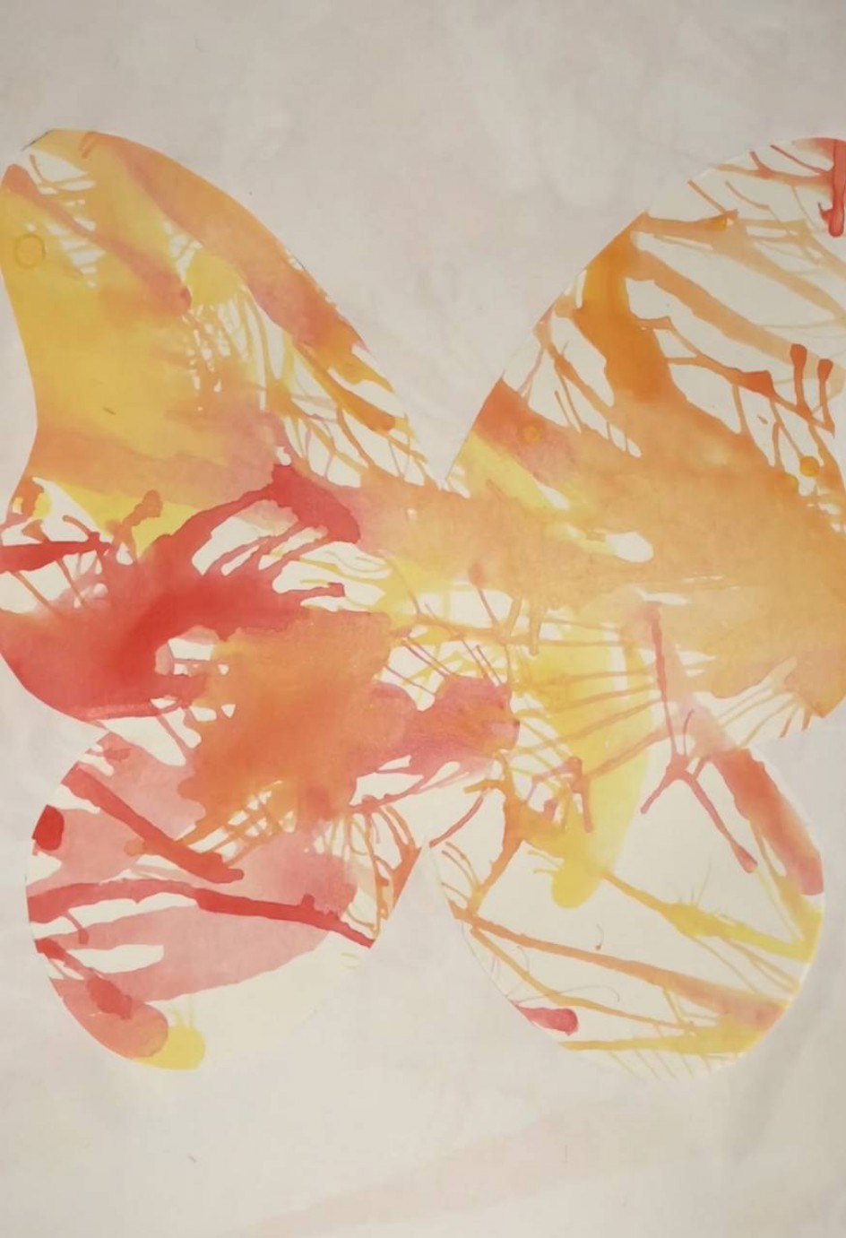 «Бабочка мечты»