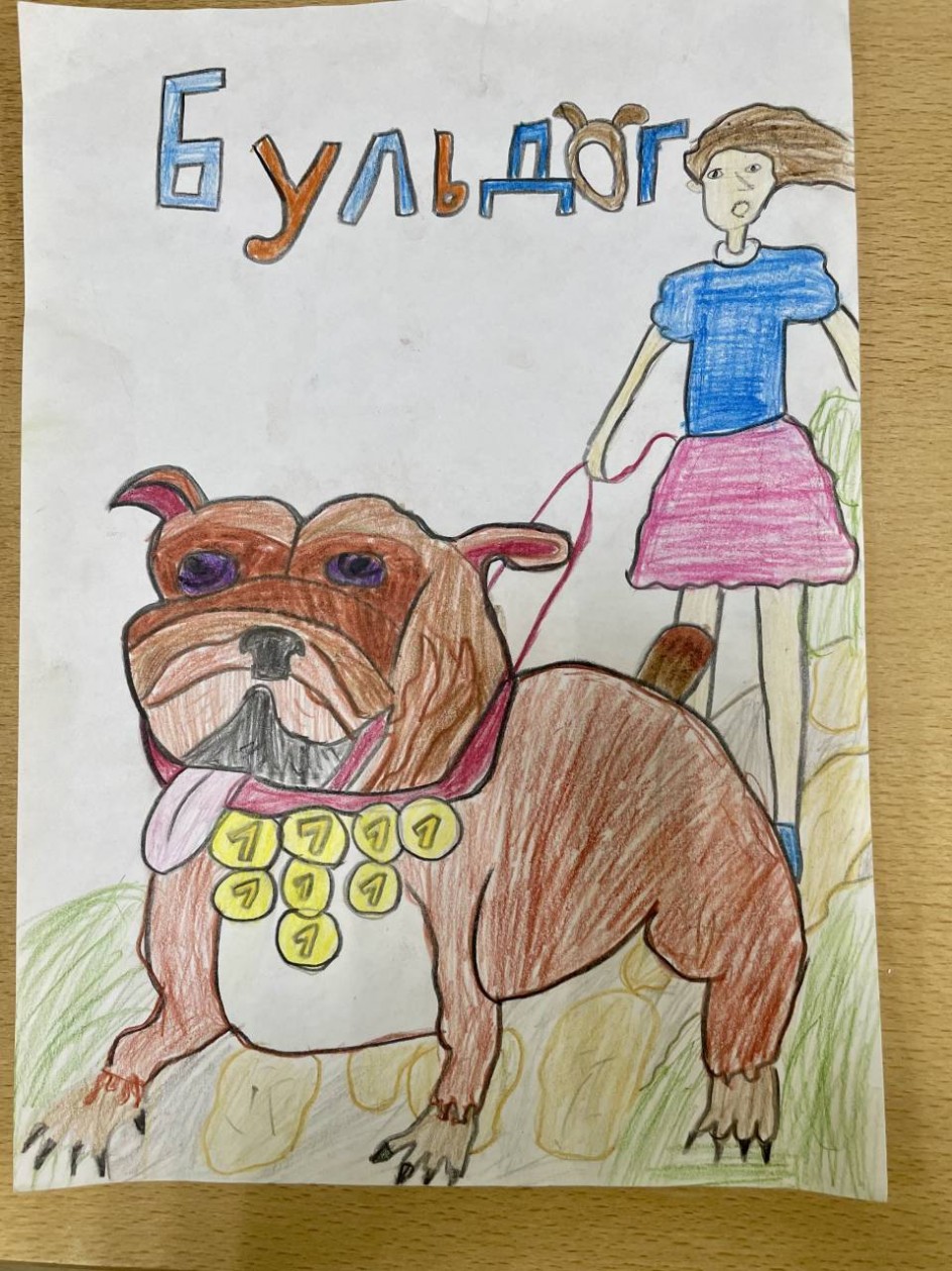 "Бульдог"