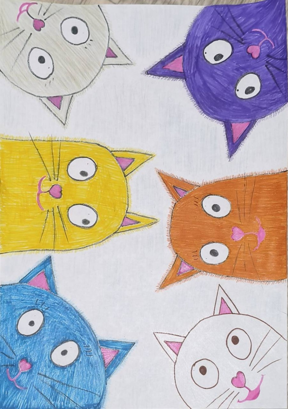 Коты и кошки