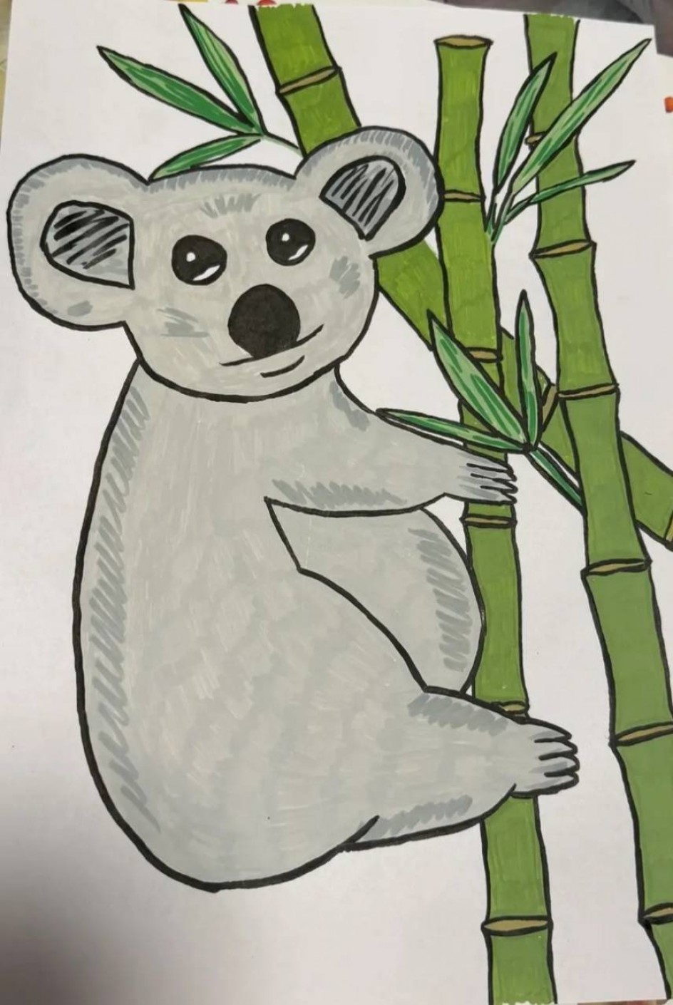 Коала