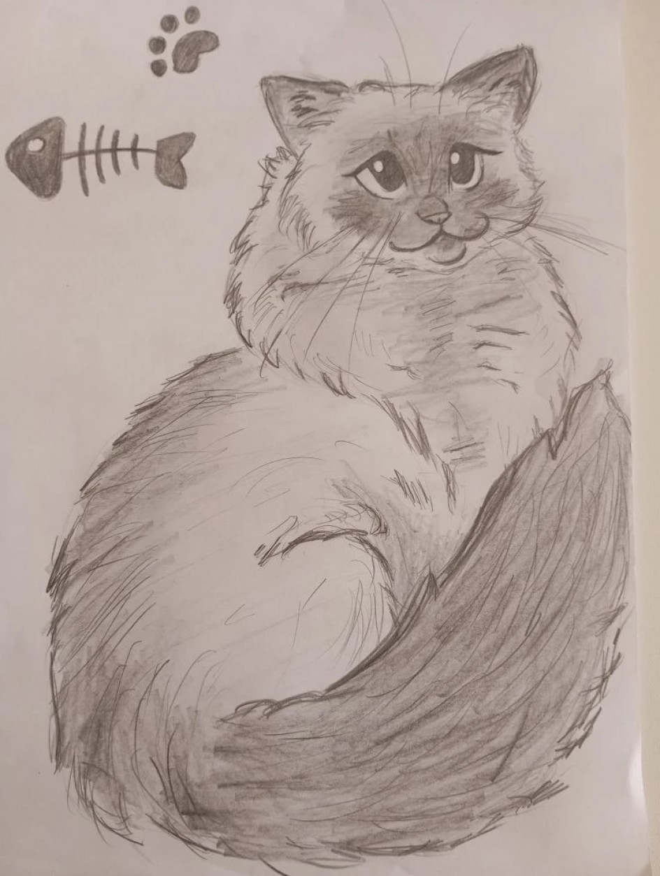 Счастливый котик